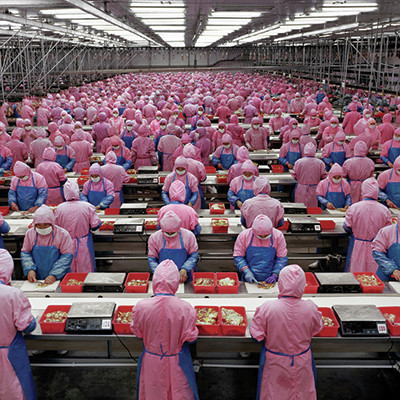 Deda Chicken Processing Plant, Dehui City, Jilin Province, China, 2005.